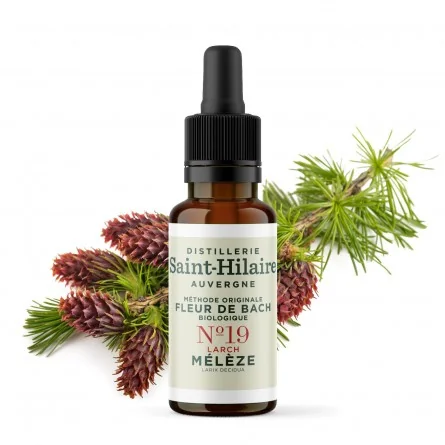 Fleur de bach meleze n°19 bio (larch) - 1